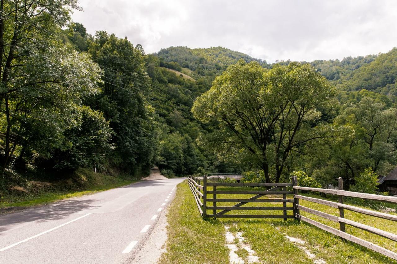 Şugag Vila Rodica Transalpina מראה חיצוני תמונה