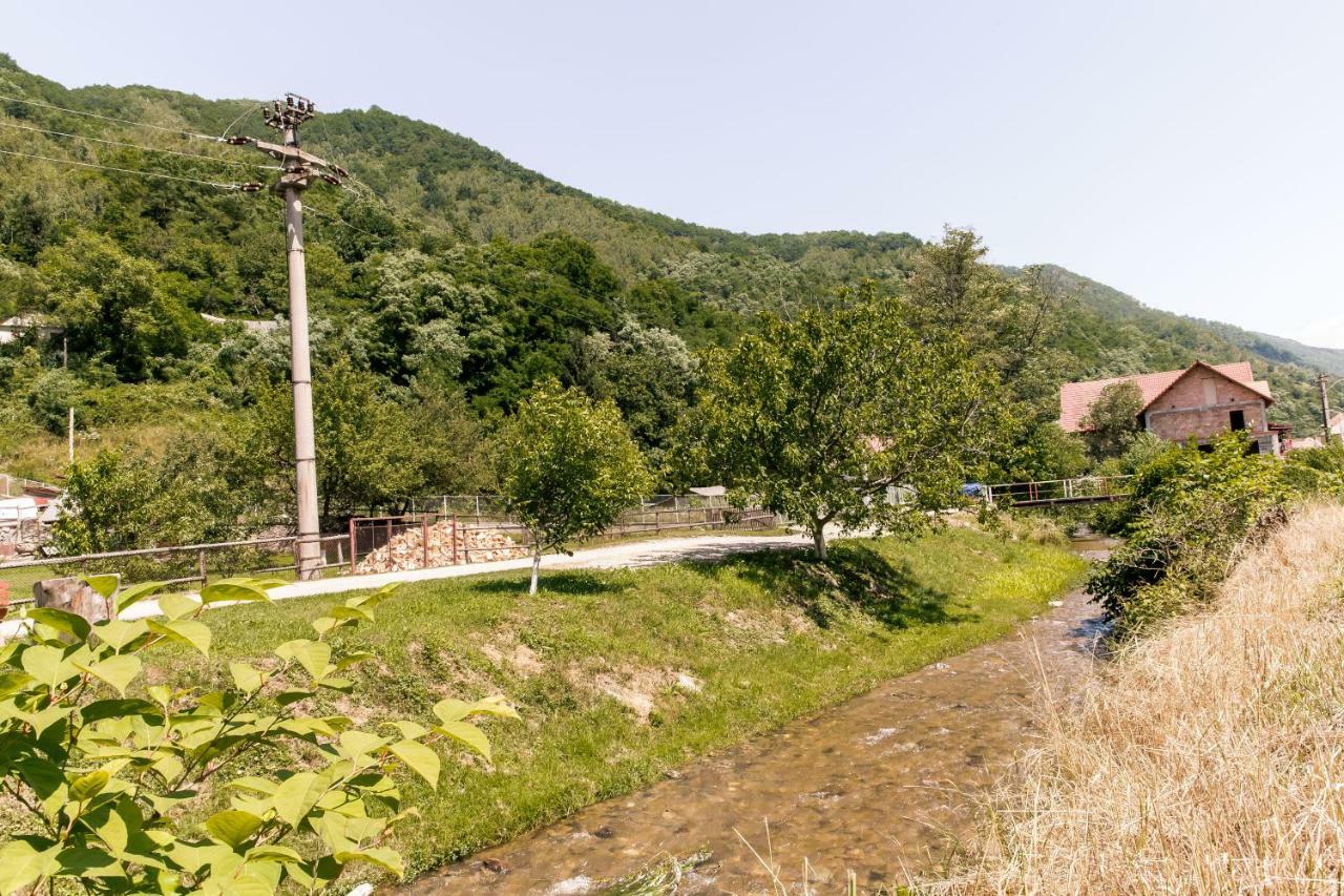 Şugag Vila Rodica Transalpina מראה חיצוני תמונה